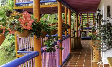 FINCA EN VENTA EN FREDONIA,ANTIOQUIA