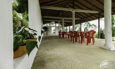 FINCA EN VENTA EN FREDONIA,ANTIOQUIA