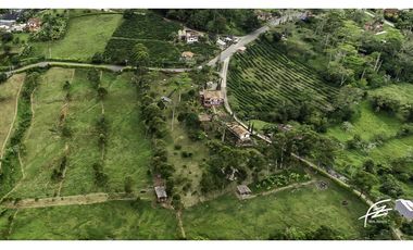 FINCA EN VENTA EN FREDONIA,ANTIOQUIA