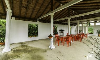 FINCA EN VENTA EN FREDONIA,ANTIOQUIA