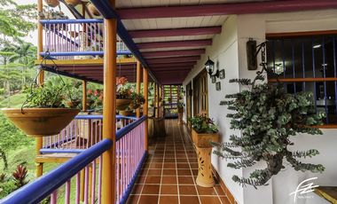 FINCA EN VENTA EN FREDONIA,ANTIOQUIA