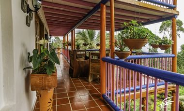 FINCA EN VENTA EN FREDONIA,ANTIOQUIA