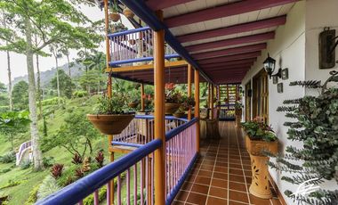 FINCA EN VENTA EN FREDONIA,ANTIOQUIA