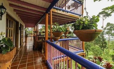 FINCA EN VENTA EN FREDONIA,ANTIOQUIA