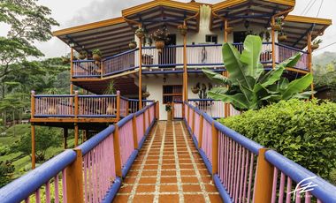 FINCA EN VENTA EN FREDONIA,ANTIOQUIA