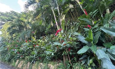 VENTA DE TERRENO EN CEIBOS, CIMAS BIM BAM BUM (gwong)