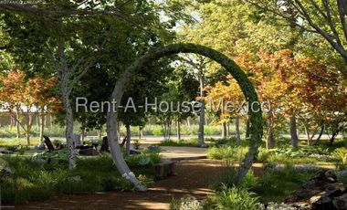 Terreno en Venta en Celestun ,Pueblo de Celestun AF 25-2656.
