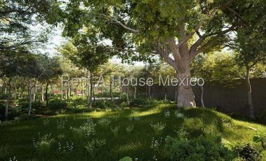 Terreno en Venta en Celestun ,Pueblo de Celestun AF 25-2656.