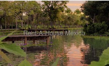 Terreno en Venta en Celestun ,Pueblo de Celestun AF 25-2656.