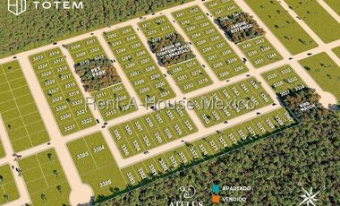Terreno en Venta en Celestun ,Pueblo de Celestun AF 25-2656.