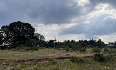 Rancho en Venta en Jilotepec ,Canalejas GIS 24-2203