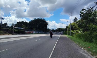 Se vende o alquila Finca de 3.5 HAS Interamericana-La Chorrera (DR)