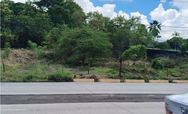 Se vende o alquila Finca de 3.5 HAS Interamericana-La Chorrera (DR)