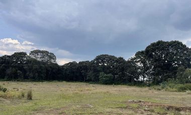 Rancho en Venta en Jilotepec ,Canalejas 24-2203