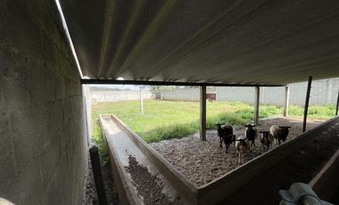 Terreno en  Venta Jilotepec - Canalejas 24-2203 JAS