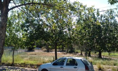 Terreno / Lote en venta de 1000m2 ubicado en Vistalba