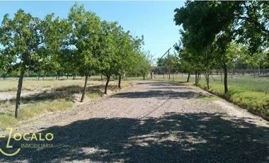 Terreno / Lote en venta de 1000m2 ubicado en Vistalba