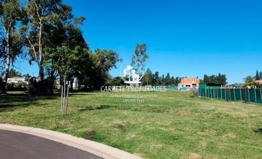Terreno / Lote en venta en Santa Sofia. Pilar del Este. Pilar