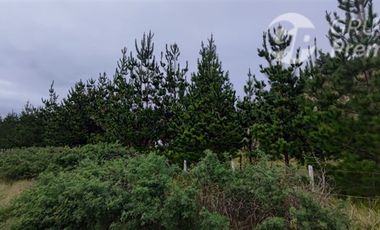 Sitio en Venta en Las Peñas a 8km de Arauco