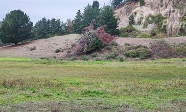 Sitio en Venta en Las Peñas a 8km de Arauco