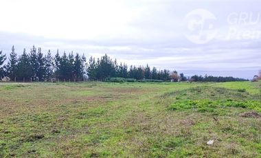 Sitio en Venta en Las Peñas a 8km de Arauco