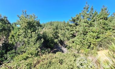 Sitio en Venta en Vende sitio 5000 m2 casa 56 m2 Pichilemu