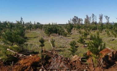 Parcela en Venta en Sector Pocillas, Condominio de Parceleros