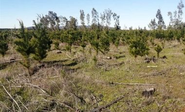 Parcela en Venta en Sector Pocillas, Condominio de Parceleros