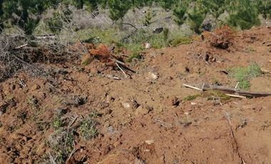 Parcela en Venta en Sector Pocillas, Condominio de Parceleros