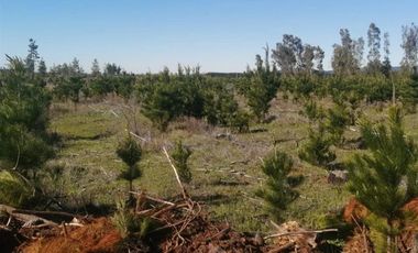 Parcela en Venta en Sector Pocillas, Condominio de Parceleros