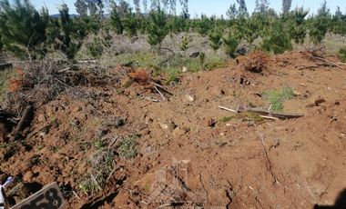 Parcela en Venta en Sector Pocillas, Condominio de Parceleros