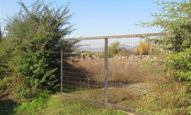 Agrícola en Venta en terreno agrícola Ruta H-830 Vivero San Vicente sin comisión venta directa