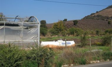 Agrícola en Venta en terreno agrícola Ruta H-830 Vivero San Vicente sin comisión venta directa
