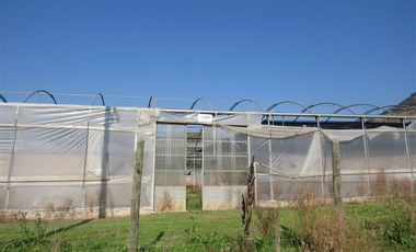 Agrícola en Venta en terreno agrícola Ruta H-830 Vivero San Vicente sin comisión venta directa