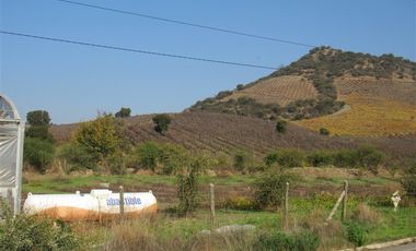 Agrícola en Venta en terreno agrícola Ruta H-830 Vivero San Vicente sin comisión venta directa