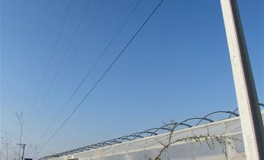 Agrícola en Venta en terreno agrícola Ruta H-830 Vivero San Vicente sin comisión venta directa