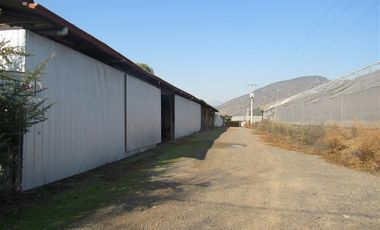 Terreno Construccion en Venta en terreno agrícola Ruta H-830 Vivero San Vicente sin comisión venta directa