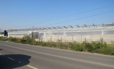 Terreno Construccion en Venta en terreno agrícola Ruta H-830 Vivero San Vicente sin comisión venta directa