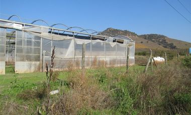 Terreno Construccion en Venta en terreno agrícola Ruta H-830 Vivero San Vicente sin comisión venta directa