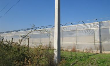 Terreno Construccion en Venta en terreno agrícola Ruta H-830 Vivero San Vicente sin comisión venta directa