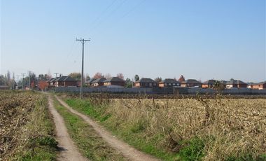 Terreno Construccion en Venta en Terreno 17.000 mt Santa Cruz Agrícola o Inmobiliario