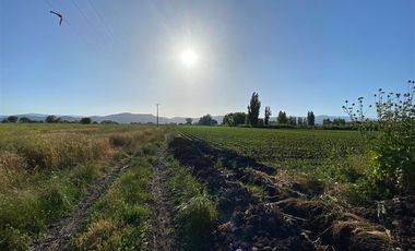 Terreno Construccion en Venta en Terreno 17.000 mt Santa Cruz Agrícola o Inmobiliario