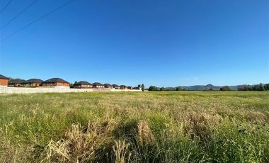 Terreno Construccion en Venta en Terreno 17.000 mt Santa Cruz Agrícola o Inmobiliario