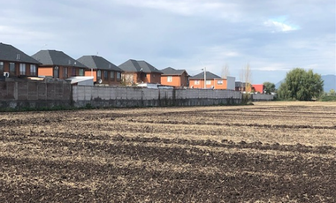 Terreno Construccion en Venta en Terreno 17.000 mt Santa Cruz Agrícola o Inmobiliario