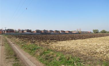 Terreno Construccion en Venta en Terreno 17.000 mt Santa Cruz Agrícola o Inmobiliario