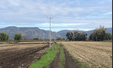 Terreno Construccion en Venta en Terreno 17.000 mt Santa Cruz Agrícola o Inmobiliario