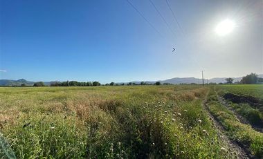Terreno Construccion en Venta en Terreno 17.000 mt Santa Cruz Agrícola o Inmobiliario