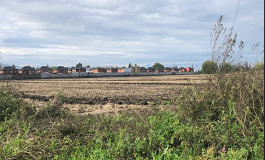 Terreno Construccion en Venta en Terreno 17.000 mt Santa Cruz Agrícola o Inmobiliario