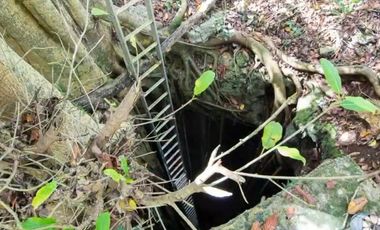 ¡Excelente terreno con Cenote en venta! Temozon, Yucatán.