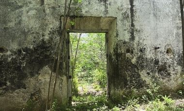 ¡Excelente terreno con Cenote en venta! Temozon, Yucatán.